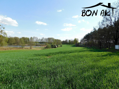 Na sprzedaż działka rolna - Buszewo -
wielkopolskie Zdjęcie nr 3