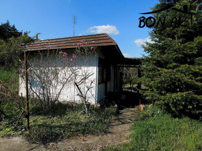 Na sprzedaż działka rolna - Buszewo -
wielkopolskie Zdjęcie nr 7