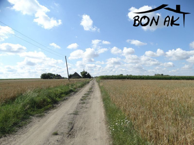 Na sprzedaż działka budowlana - Wronki -
wielkopolskie Zdjęcie nr 3