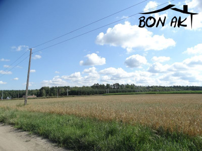 Na sprzedaż działka budowlana - Wronki -
wielkopolskie Zdjęcie nr 4