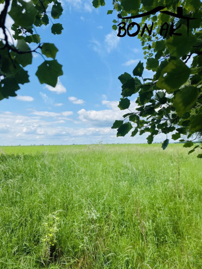 Na sprzedaż działka rolna - Baborowo - wielkopolskie