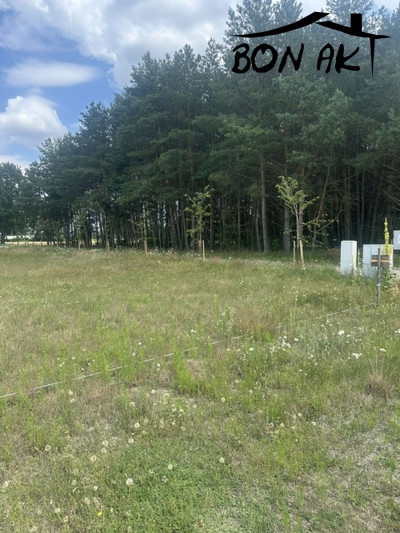 Na sprzedaż działka rekreacyjna - Zapust - wielkopolskie