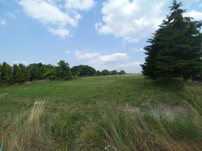 działka budowlana 73ar, Kłębanowice/Polkowice sprzedam -
Dolnośląskie