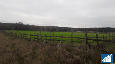 Działka 53,24ha, Guzice/Polkowice, inwestycyjna -
dolnośląskie Zdjęcie nr 4