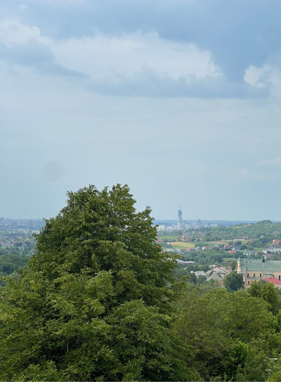 Działka budowlana z widokiem na Rzeszów (bez pośredników) + Media -
Podkarpackie Zdjęcie nr 5