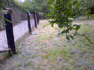 działka budowlana .Sprzedaż bez pośrednika -
małopolskie Zdjęcie nr 3