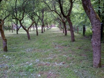 działka budowlana .Sprzedaż bez pośrednika -
małopolskie Zdjęcie nr 5