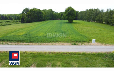 Działka  - Drzewce-Kolonia  -
lubelskie Zdjęcie nr 2