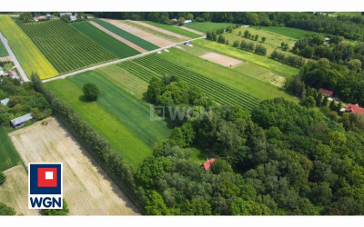 Działka  - Drzewce-Kolonia  -
lubelskie Zdjęcie nr 4