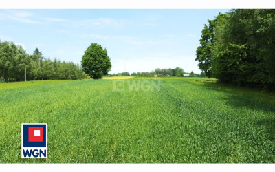 Działka  - Drzewce-Kolonia  -
lubelskie Zdjęcie nr 5