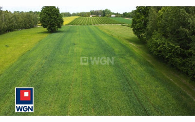 Działka  - Drzewce-Kolonia  -
lubelskie Zdjęcie nr 6