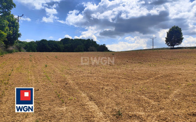 Działka  - Celejów  -
lubelskie Zdjęcie nr 3