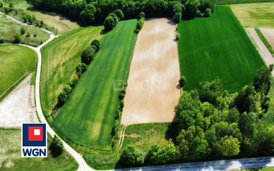 Działka  - Celejów  -
lubelskie Zdjęcie nr 4