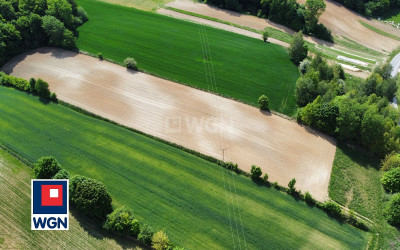 Działka  - Celejów  -
lubelskie Zdjęcie nr 6