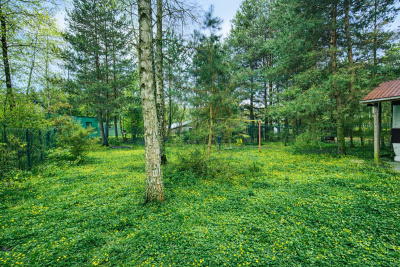 Działka rekreacyjna nad jeziorem Piaseczno, 628 m2 -
Lubelskie Zdjęcie nr 12