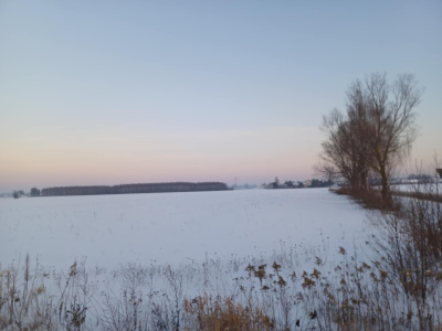 Atrakcyjna działka 5900m2 -
mazowieckie Zdjęcie nr 10