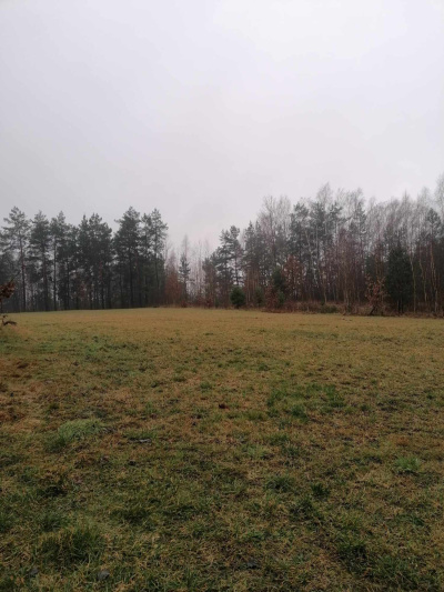 Mateusz Turczuk -
podlaskie Zdjęcie nr 4