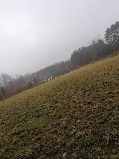 Mateusz Turczuk -
podlaskie Zdjęcie nr 6