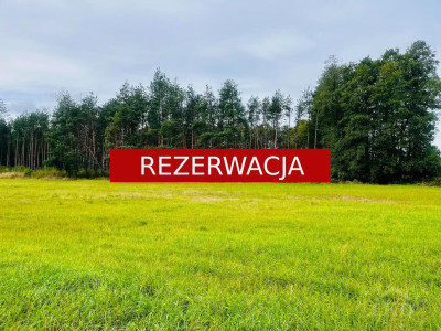 TOP Pięknie położone działki w Nowej Jastrząbce - Nowa Jastrząbka  - małopolskie