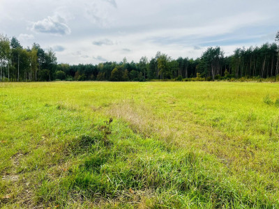 TOP Pięknie położone działki w Nowej Jastrząbce - Nowa Jastrząbka  -
małopolskie Zdjęcie nr 3