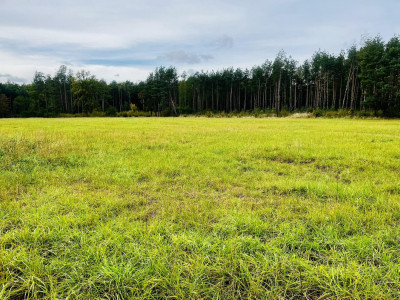 TOP Pięknie położone działki w Nowej Jastrząbce - Nowa Jastrząbka  -
małopolskie Zdjęcie nr 4