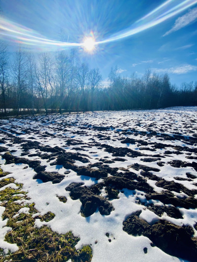 TOP Łowczów  Działka budowlana 2200 m  MPZP  Media  7 000 złar - Łowczów  -
małopolskie Zdjęcie nr 5
