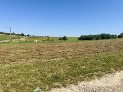 Pawęzów  działka 933 ar MPZP zielona okolica kilka km od Tarnowa - Pawęzów  -
małopolskie Zdjęcie nr 2