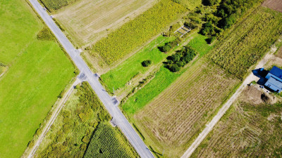 Pawęzów  działka 933 ar MPZP zielona okolica kilka km od Tarnowa - Pawęzów  -
małopolskie Zdjęcie nr 4