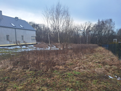 Działka budowlana 14.4 ar, ul. Leśna – gmina Bolesław, Małopolskie -
Małopolskie Zdjęcie nr 9