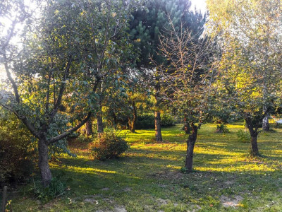 Działka budowlana z warunkami zabudowy - Sławinek  -
Lubelskie Zdjęcie nr 2