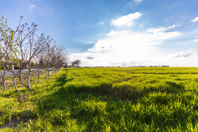 Działka 20 km od Lublina - Piotrkówek  -
Lubelskie Zdjęcie nr 6