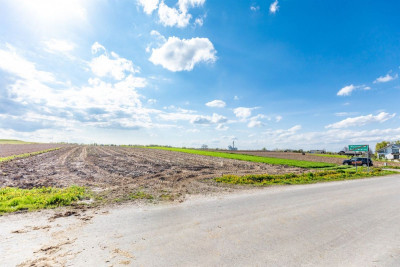 Działka z warunkami zabudowy Wojciechów Kol Pierw - Wojciechów-Kolonia Pierwsza  -
Lubelskie Zdjęcie nr 4