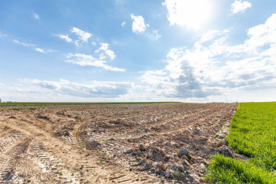 Działka z warunkami zabudowy Wojciechów Kol Pierw - Wojciechów-Kolonia Pierwsza  -
Lubelskie Zdjęcie nr 5