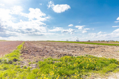 Działka z warunkami zabudowy Wojciechów Kol Pierw - Wojciechów-Kolonia Pierwsza  -
Lubelskie Zdjęcie nr 7