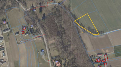 Działka z warunkami zabudowy - Wojciechów-Kolonia Pierwsza  -
Lubelskie Zdjęcie nr 3