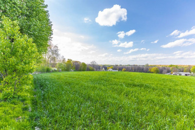 Działka z warunkami zabudowy - Wojciechów-Kolonia Pierwsza  -
Lubelskie Zdjęcie nr 4