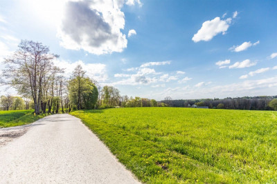 Działka z warunkami zabudowy - Wojciechów-Kolonia Pierwsza  -
Lubelskie Zdjęcie nr 6