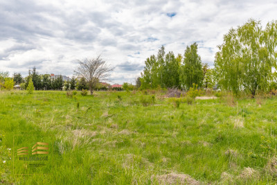 Kamień działka 14 arowa na sprzedaż - Kamień  -
Lubelskie Zdjęcie nr 6