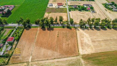 Działka MR w miejscowości Krasienin-Kolonia - Krasienin-Kolonia  - Lubelskie