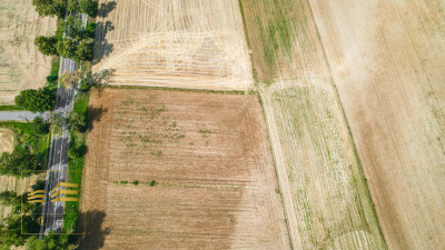 Działka MR w miejscowości Krasienin-Kolonia - Krasienin-Kolonia  -
Lubelskie Zdjęcie nr 3