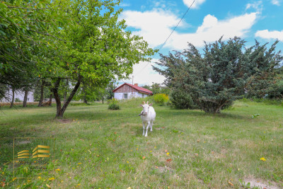 Działka budowlana na sprzedaż z domkiem - Kolonia Stara Wieś  - Lubelskie