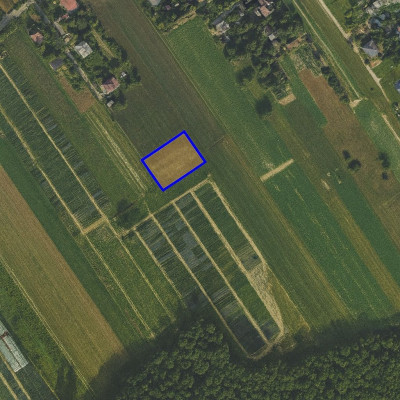 Działka budowlana w Tereszynie - Tereszyn  -
Lubelskie Zdjęcie nr 5