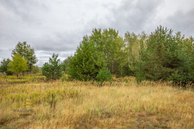 Działka pod zabudowę jednorodzinną w Wólce Krasien - Wólka Krasienińska  -
Lubelskie Zdjęcie nr 7