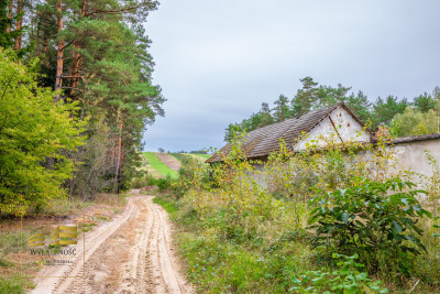 5 ha z domem na Roztoczu - Józefów  -
Lubelskie Zdjęcie nr 10