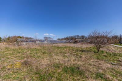 Działka z dużymi możliwościami - Kijany  -
Lubelskie Zdjęcie nr 2