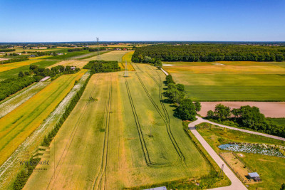 Dom hala działki - Witaniów  -
Lubelskie Zdjęcie nr 13
