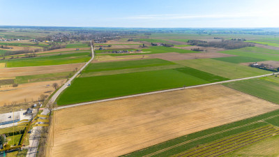 Działki budowlane MRMN - Zalesie  -
Lubelskie Zdjęcie nr 8