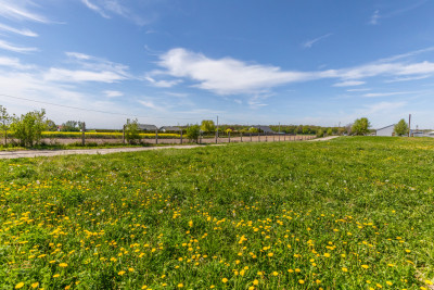 Działka przemysłowa produkcja 9003m2 - Świdnik - Krzesimów  -
Lubelskie Zdjęcie nr 5