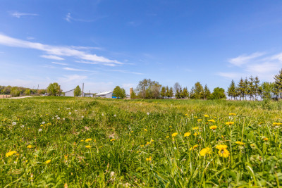 Działka przemysłowa produkcja 9003m2 - Świdnik - Krzesimów  -
Lubelskie Zdjęcie nr 6