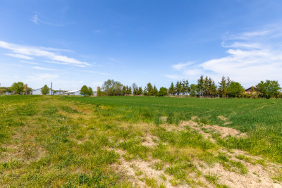 Działka przemysłowa produkcja 9003m2 - Świdnik - Krzesimów  -
Lubelskie Zdjęcie nr 7
